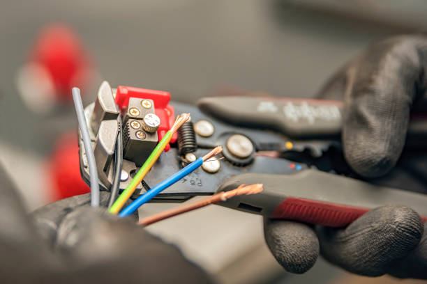 Best Electric Panel Repair  in Kathleen, FL