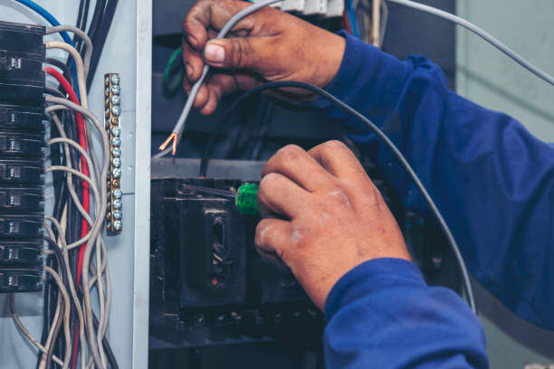 Best Electric Panel Repair  in Kathleen, FL